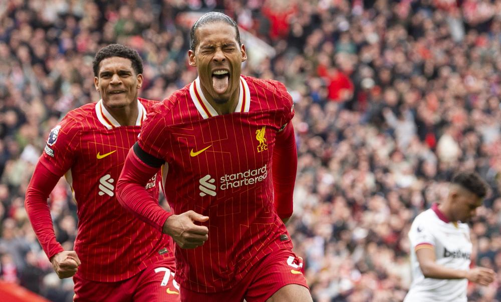 的明星阵容 的明星阵容